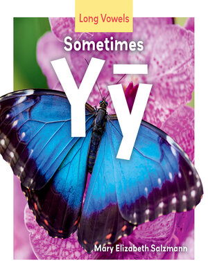 cover image of Sometimes Yy